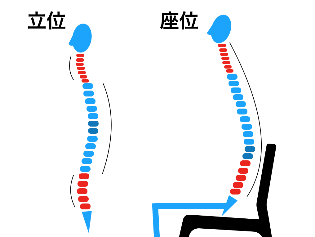 立位と座位のアライメント