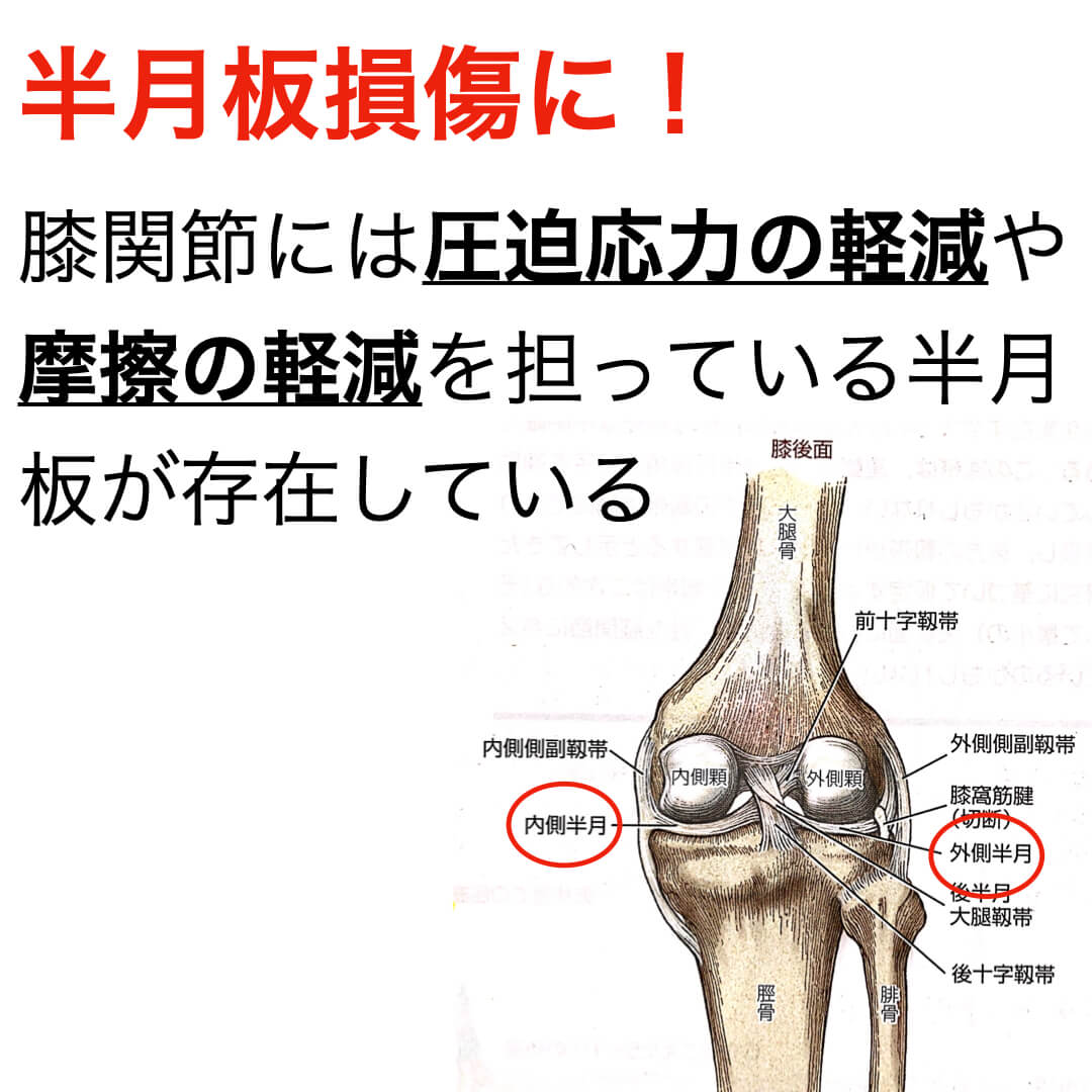 ゴルフで左膝の痛み 右打ち を抱えている人は予防してください 障害予防推進会